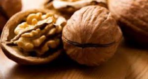 فروش مغز گردو