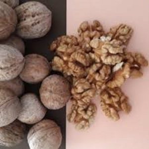 خرید گردو با پوست