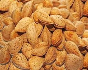 قیمت بادام درختی