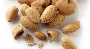 قیمت بادام درختی