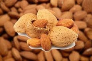 قیمت بادام درختی