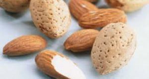 فروش بادام درختی