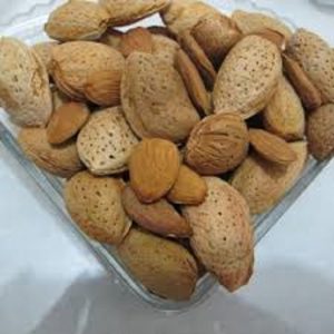فروش بادام درختی
