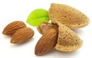 فروش بادام درختی