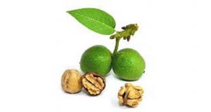 خرید گردو پوست سبز