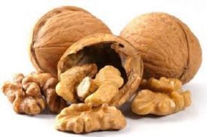 قیمت گردو کاغذی
