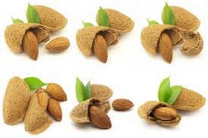 خرید مغز بادام