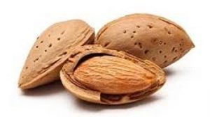 خرید بادام خشک