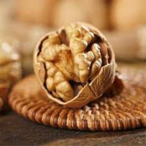 فروش گردو کاغذی