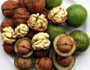 قیمت گردو با پوست