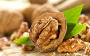 خرید گردو با پوست