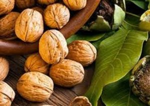 قیمت گردو با پوست