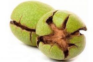 خرید گردو پوست سبز