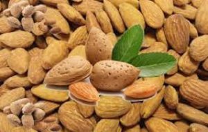 خرید مغز بادام