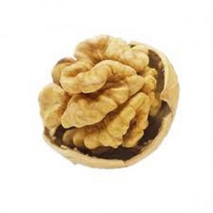 فروش گردو تازه