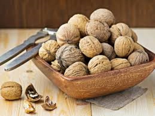 فروش گردو خشک