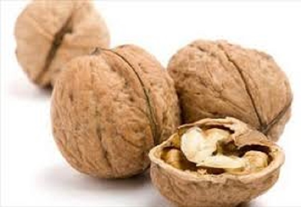 فروش گردو خشک