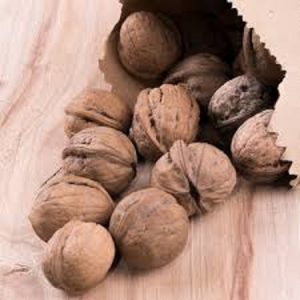 قیمت گردو خشک