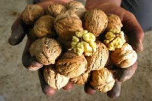 قیمت گردو خشک