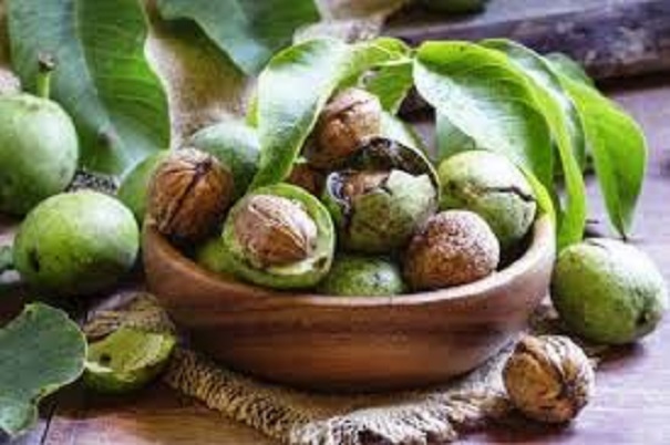 گردو سبز