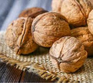 خرید گردو پوست کاغذی