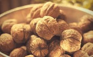 خرید گردو پوست کاغذی