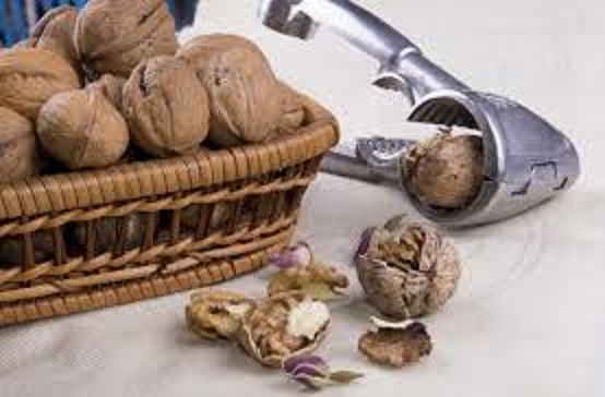 قیمت گردو فسنجانی