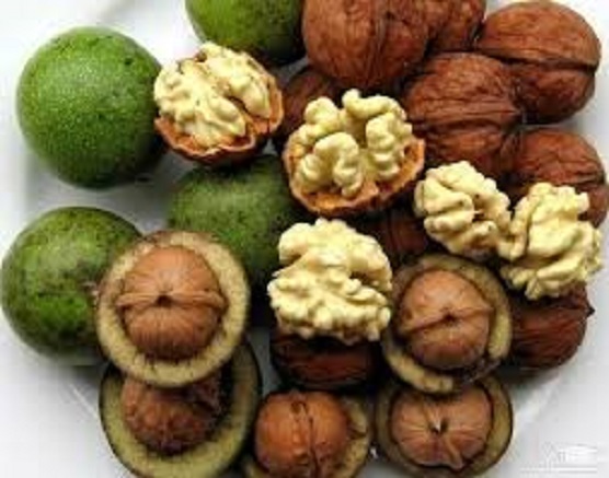 فروش گردو پوست سبز