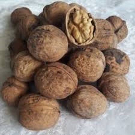 قیمت گردو فسنجانی