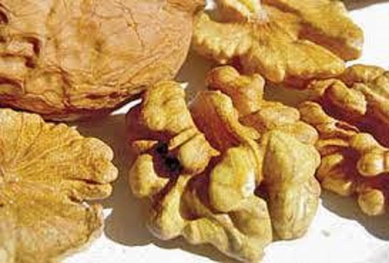 مغز گردو