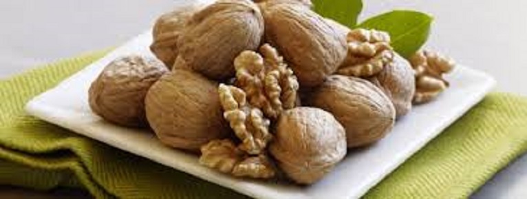 مغز گردو