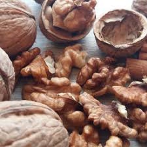 مغز گردو