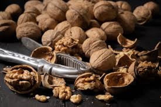 گردو کاغذی تویسرکان