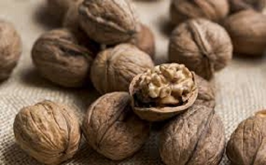 گردو کاغذی تویسرکان