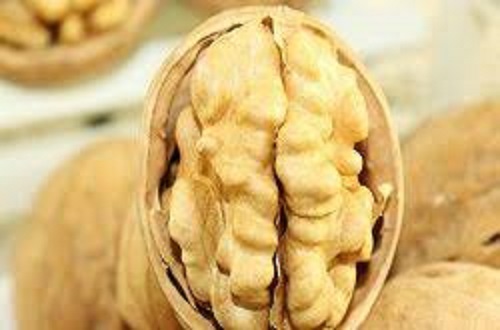 خرید گردو تویسرکان