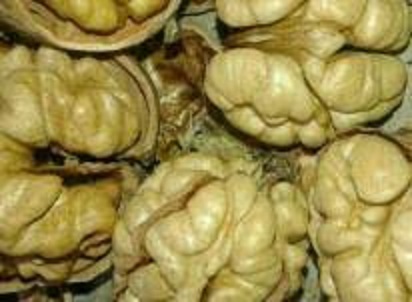 مغز گردو تویسرکان