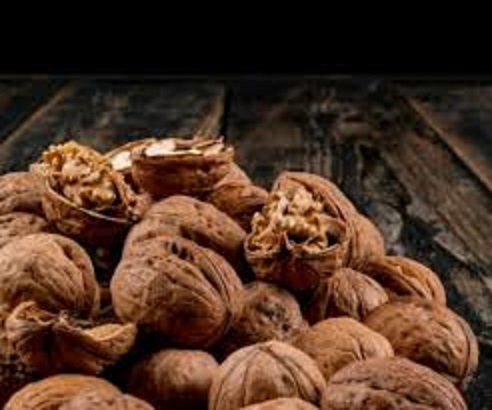 فروش گردو فسنجانی