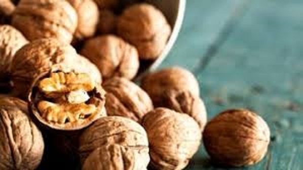 قیمت گردو تویسرکان همدان