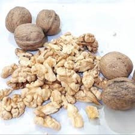 فروش گردو تویسرکان