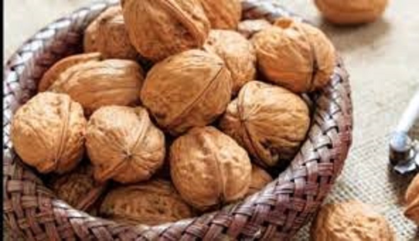 فروش گردو فسنجانی