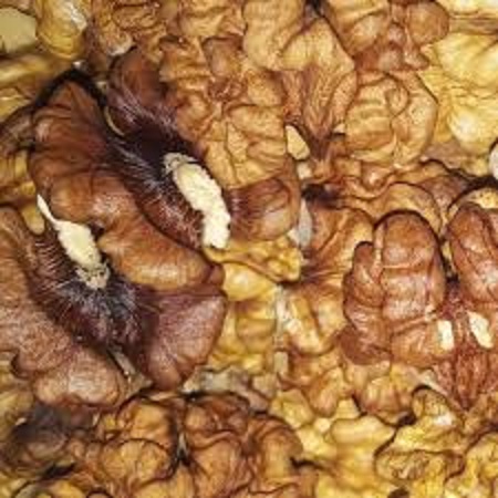 مغز گردو فسنجانی