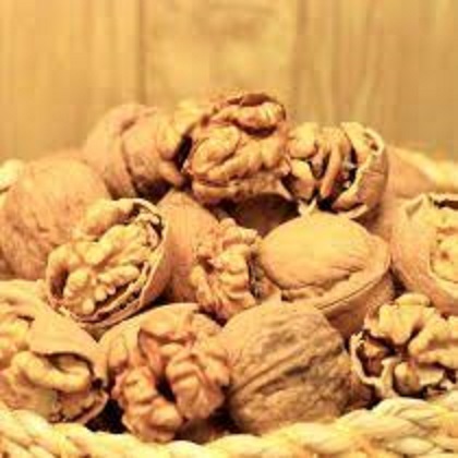 فروش گردو تویسرکان