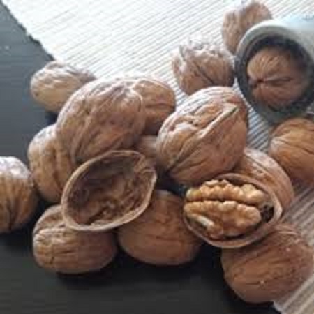 قیمت گردوی تویسرکان