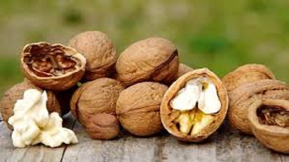 خرید گردو فسنجانی