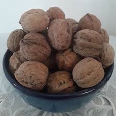 قیمت گردو تویسرکان همدان