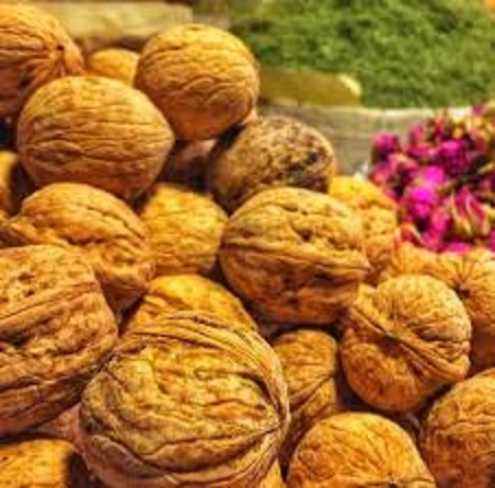 فروش گردو تویسرکان همدان