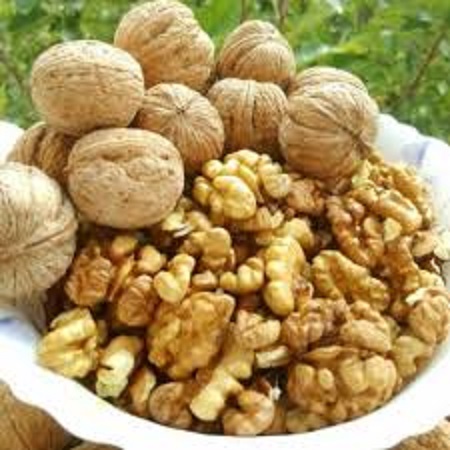 فروش گردو فسنجانی