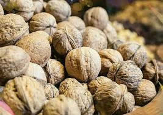 خرید گردو فسنجانی