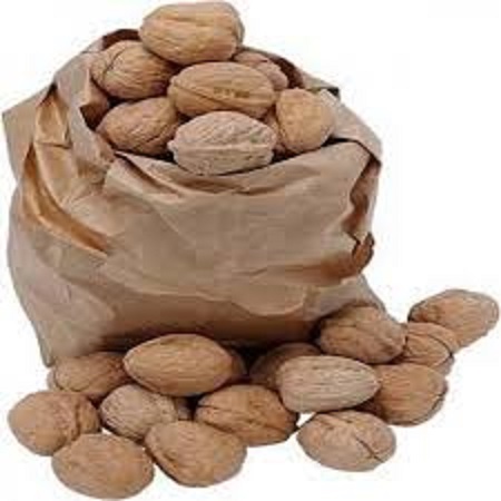 خرید گردو تویسرکان همدان