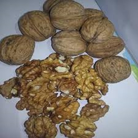 فروش گردو فسنجانی